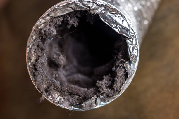 Best Industrial Air Duct Cleaning in West Canton, NC